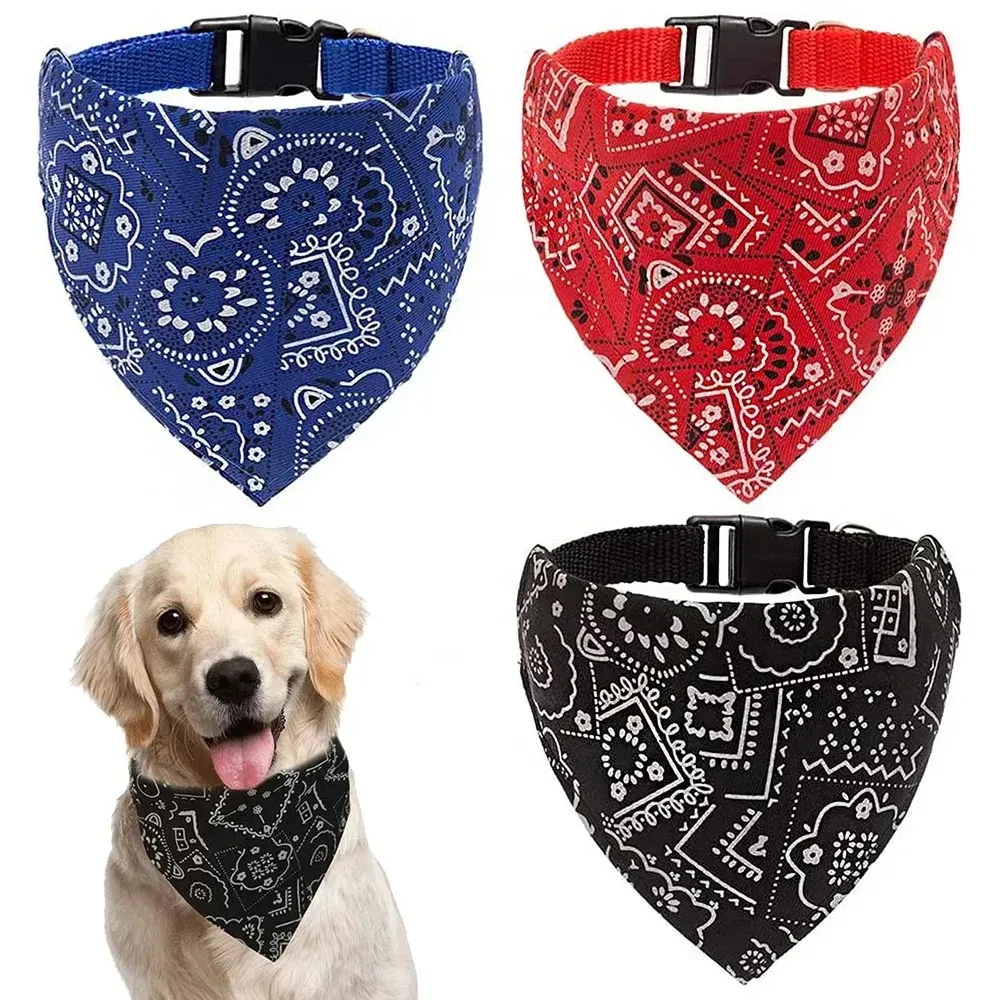 Dog Collars