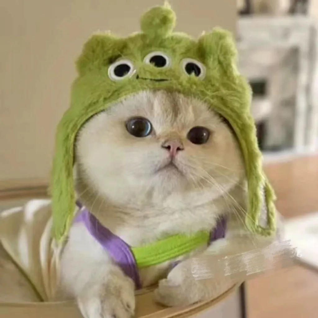 Yarn Starfish & Angelfish Animal Costumes